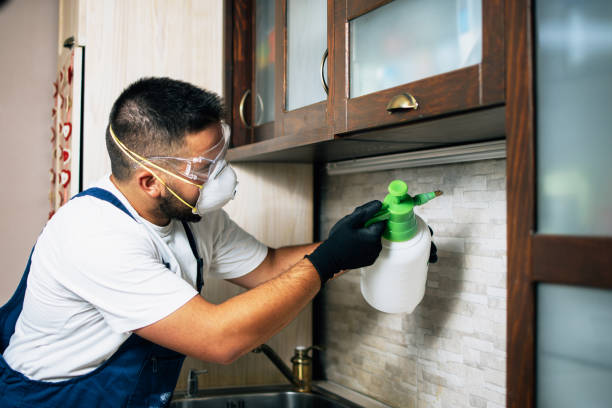 Reliable Bellingham, WA Pest Control Solutions