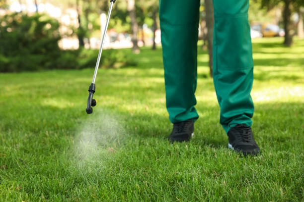 Best Affordable Pest Control Services  in Bellingham, WA