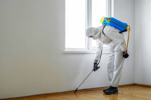 Pest Control Cost in Bellingham, WA