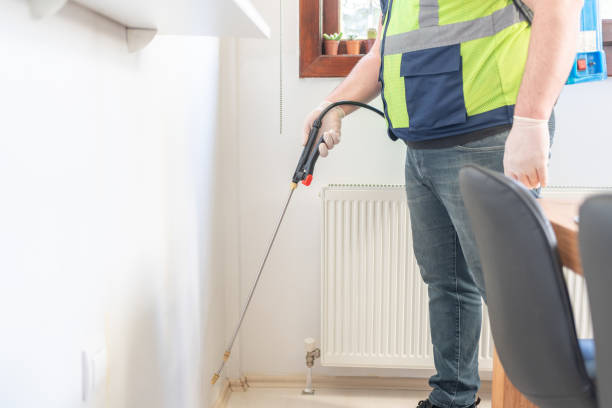 Best Pest Control for Businesses  in Bellingham, WA