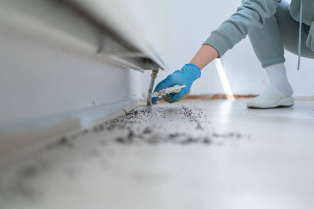 Best Cockroach Control Services  in Bellingham, WA